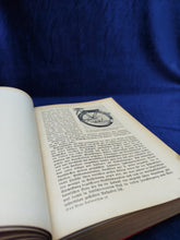 Image #9