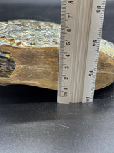 Image #8