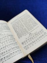 Image #7