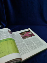 Image #9