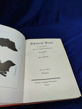 Image #9