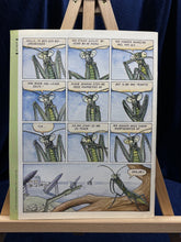 Image #6