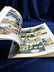 Image #7