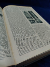 Image #10