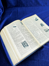 Image #12