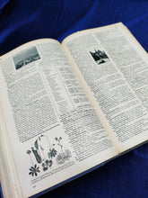 Image #11