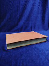 Image #7