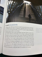 Image #7