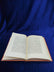 Image #11